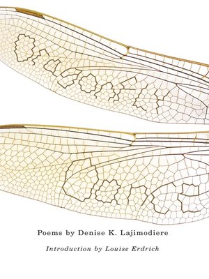 cover image of Dragonfly Dance